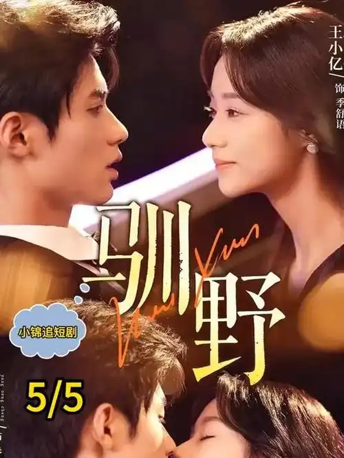 琅琊榜海报